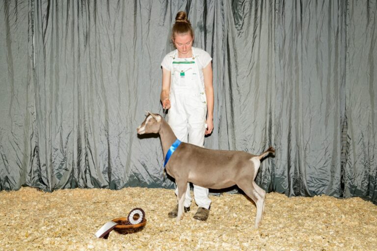 Reserve Junior Champion